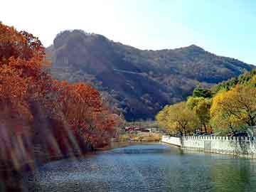 澳门二四六天天彩图库，生姜切丝机